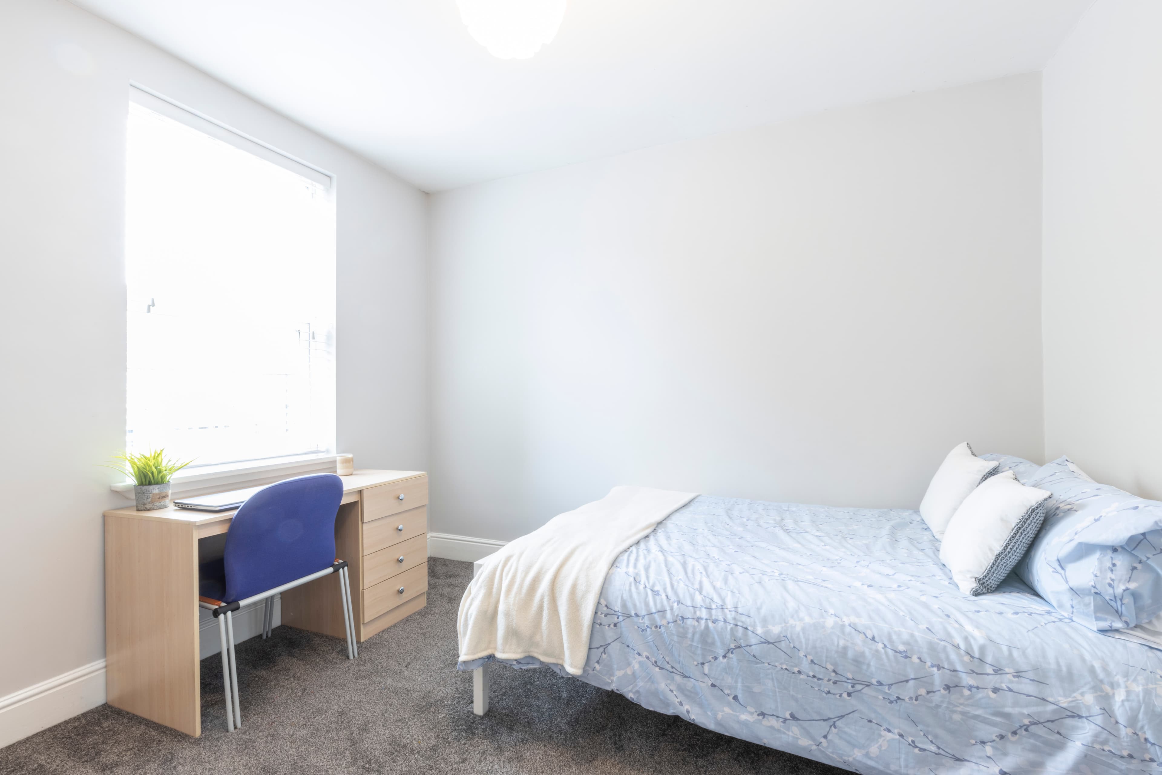 5 Bed House - Heathcote Street thumbnail 7